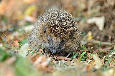 Raven确认：《使命召唤：战区》第六赛季将是当前地图上的最后一个赛季